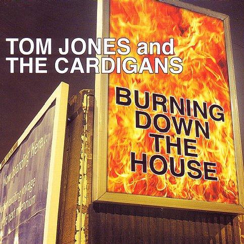 Burning Down The House - Single